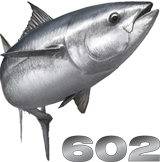 602 Tuna